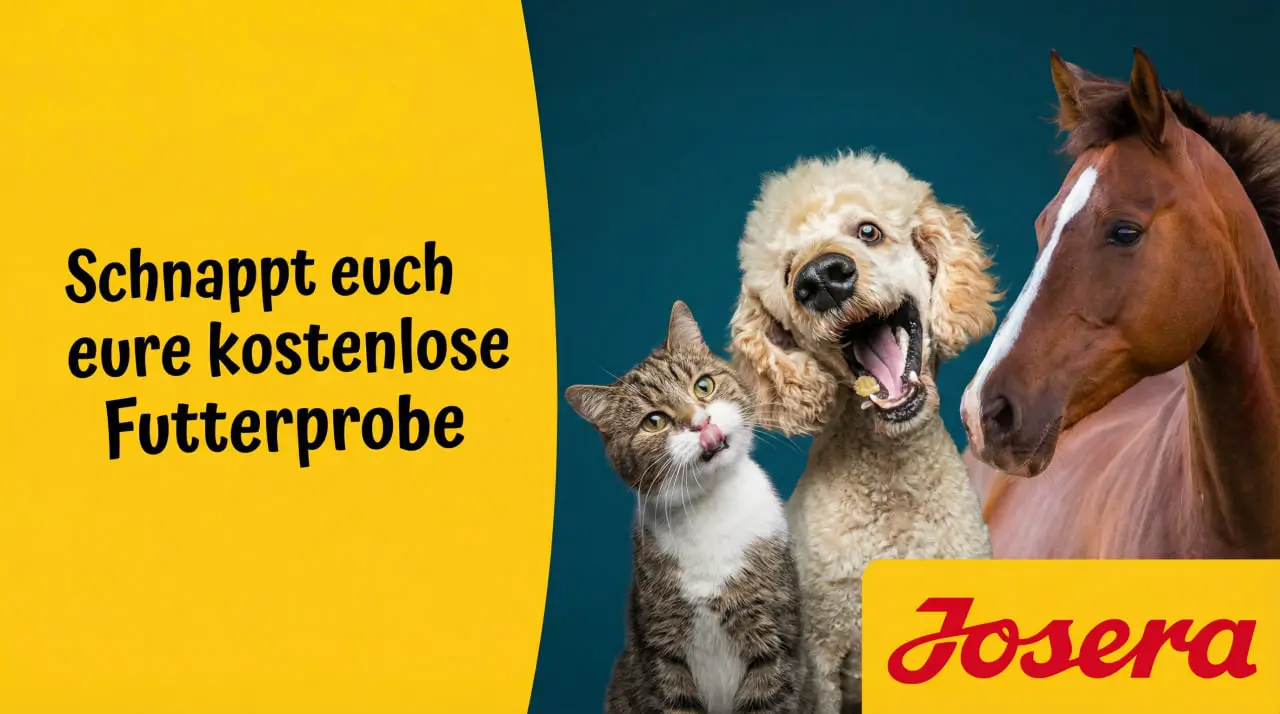 Josera Hundefutter kostenlose Probe anfordern